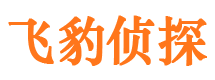 栾川市调查公司